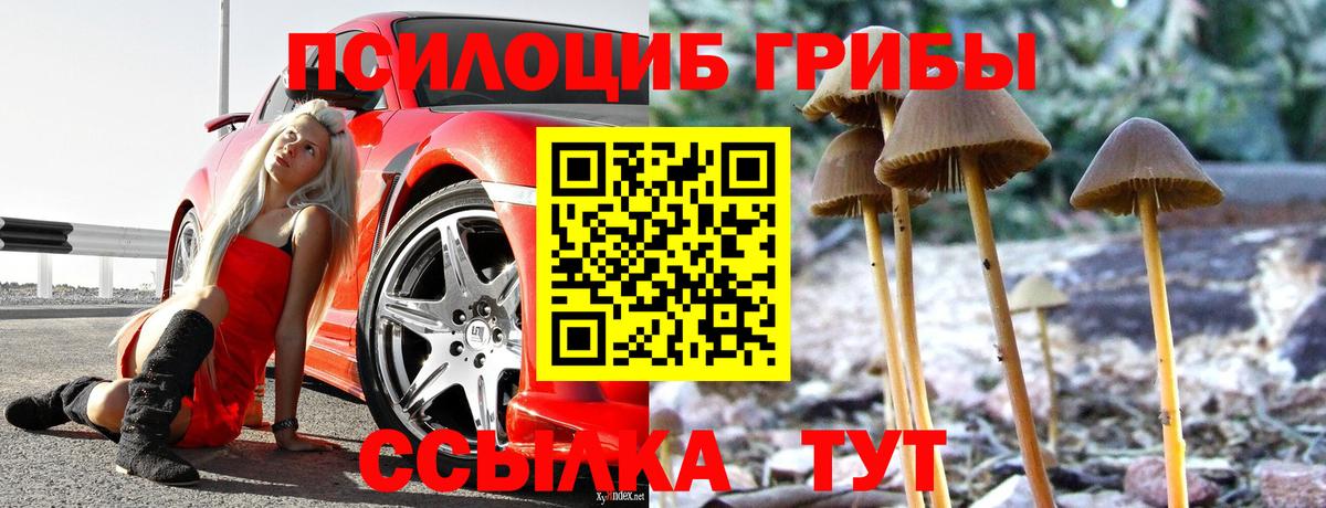 Шумерля  Псилоцибиновые грибы GOLDEN TEACHER  Галлюциногенные грибы MAGIC MUSHROOMS  Вход с VPN 